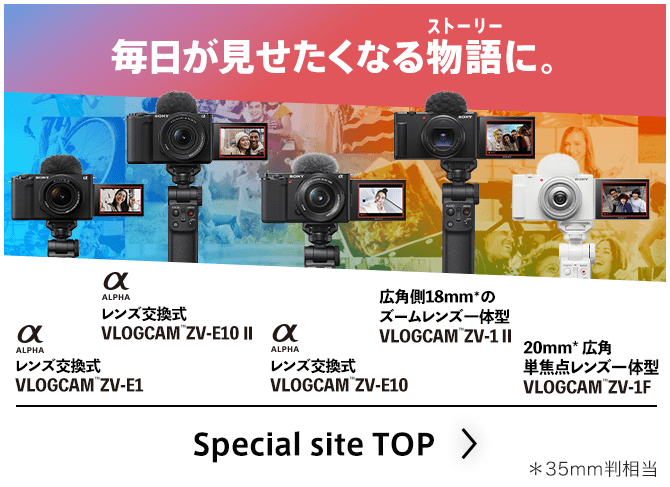 Special site TOP