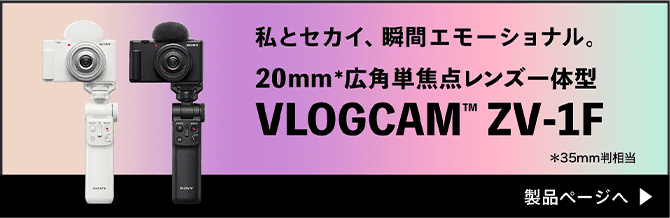 ƃZJCAuԃG[ViB20mmLpPœ_Y̌^ VLOGCAM ZV-1F 35mm iy[W