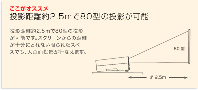 �������I�X�X���u���e������2.4m��80�^�̓��e���\�v