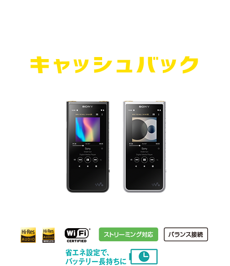 8,000円キャッシュバック NW-ZX500シリーズ