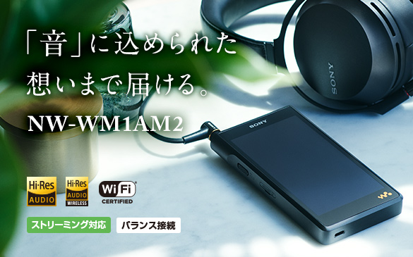 元の価格  NW-ZX1 ハイレゾウォークマン WALKMAN 【AC充電器付き】SONY ポータブルプレーヤー