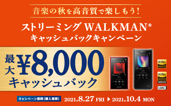 Nw A100シリーズ ポータブルオーディオプレーヤー Walkman ウォークマン ソニー