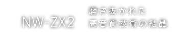 NW-ZX2 ꂽZp̌