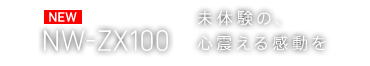 NEW NW-ZX100 ̌́Ak銴