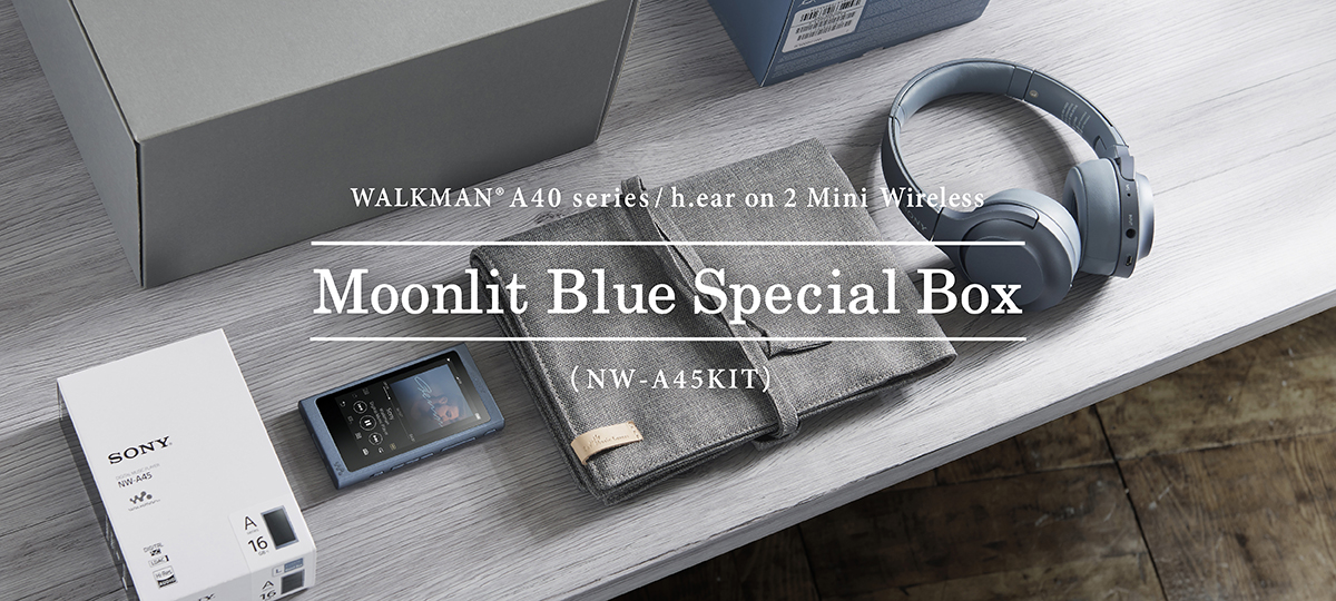 SONY WALKMAN NW-A40 ムーンリットブルー　ソニー　ウォークマン