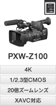 PXW-Z100