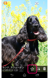 アルバムアプリケーションの画面