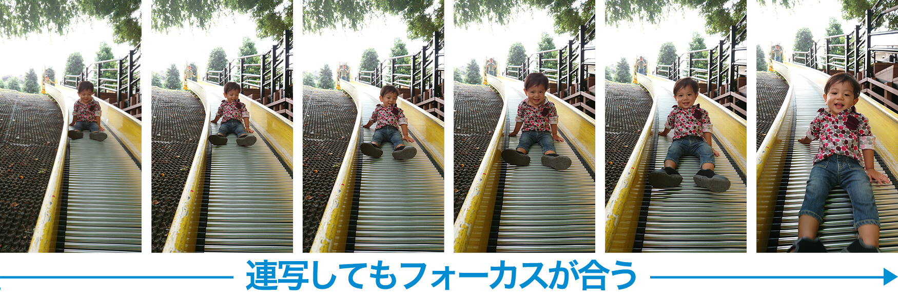 連写してもフォーカスが合う