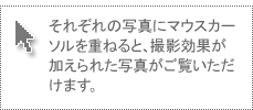それぞれの写真にマウスカーソルを重ねると、撮影効果が加えられた写真がご覧いただけます。