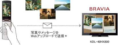 〈ブラビア〉ポストカード