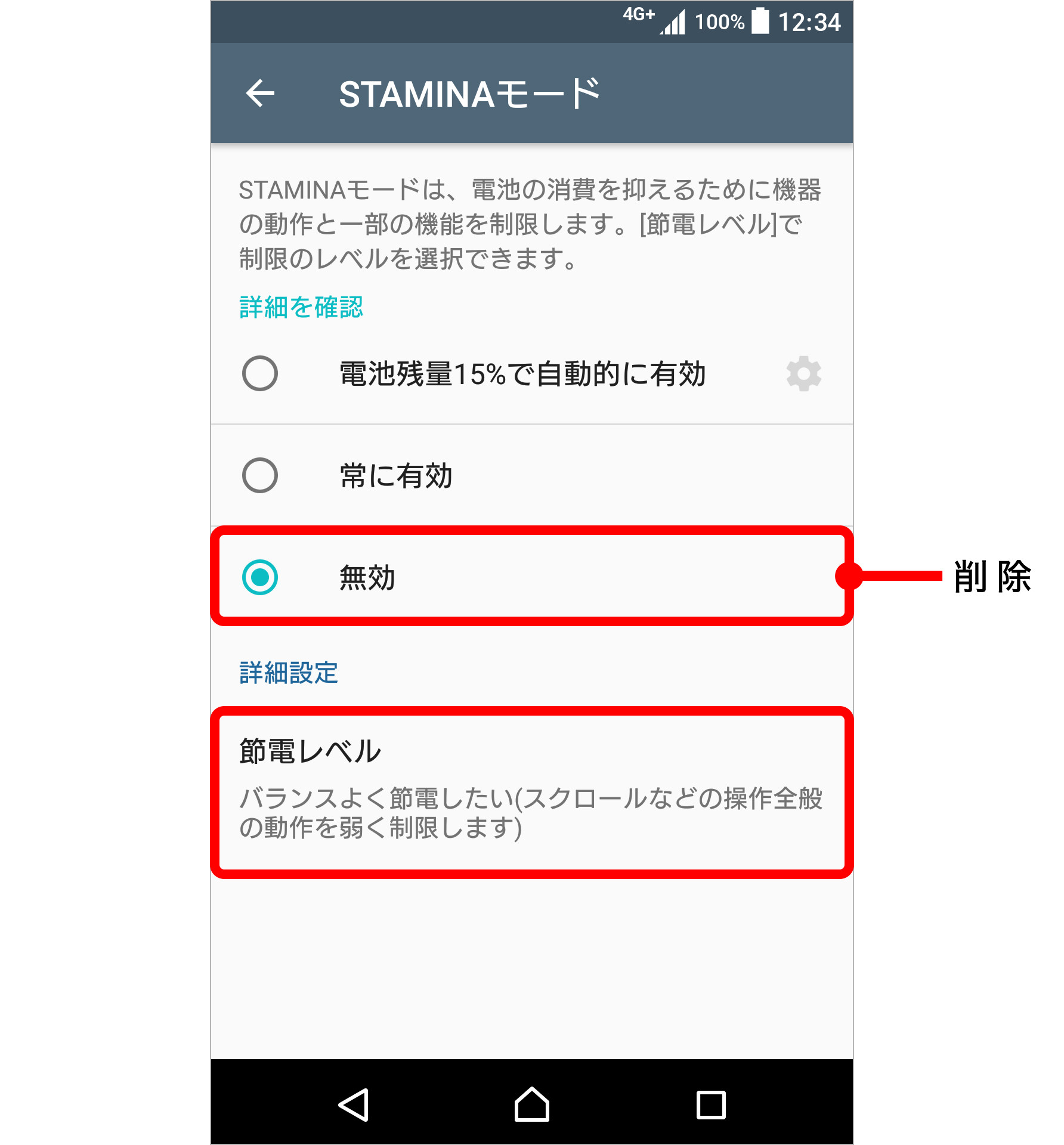 STAMINAモードのキャプチャ