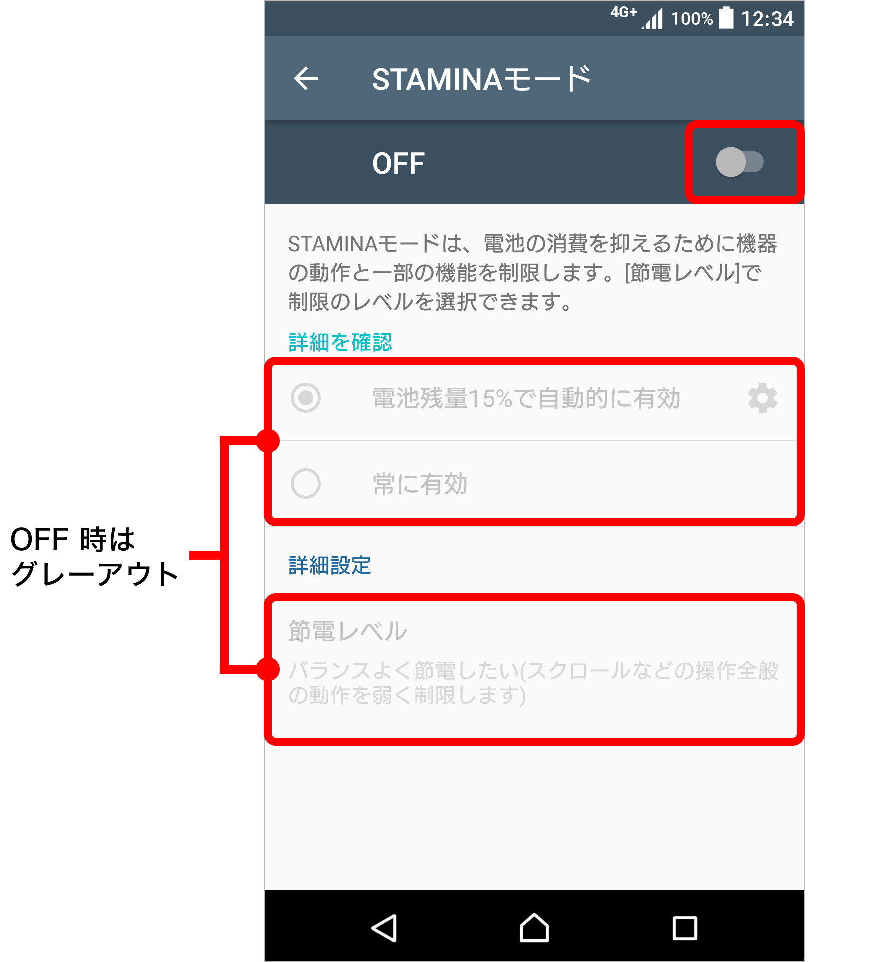 STAMINAモードのキャプチャ