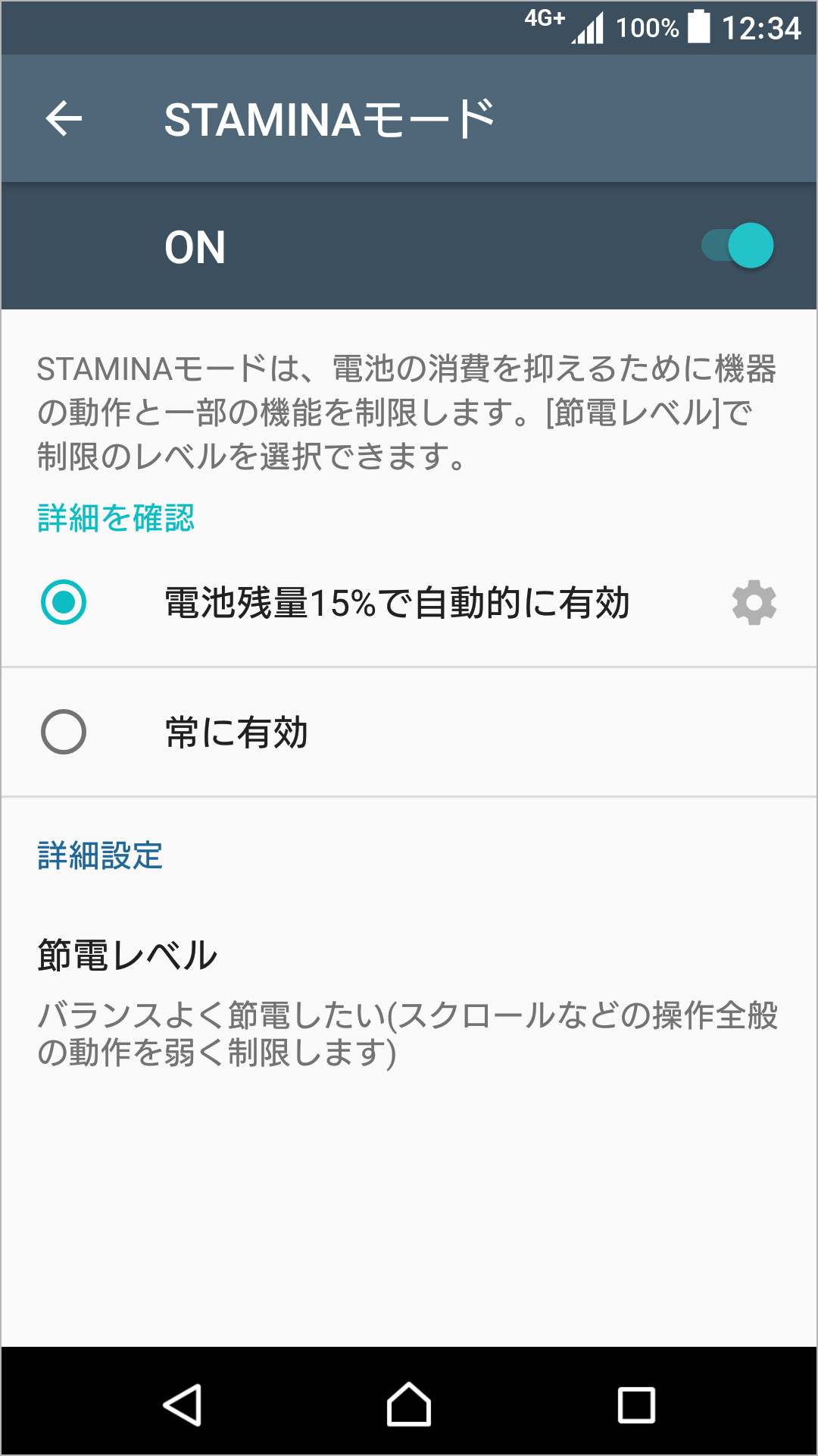 STAMINAモードのキャプチャ