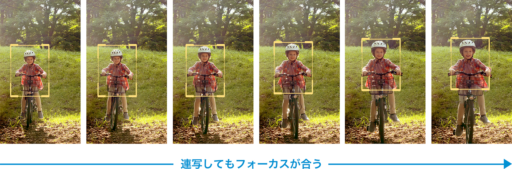 オートフォーカス連写の機能