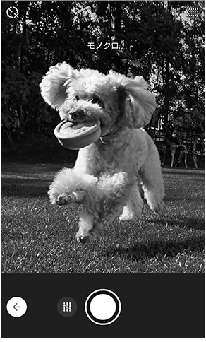 Xperia XZ2 Premium／モノクロモードUI変更