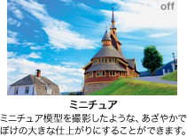 ［ミニチュア］