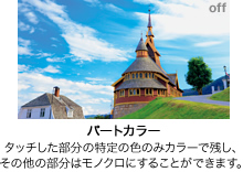 ［パートカラー］