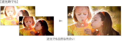 黒つぶれや、白とびしやすい逆光も