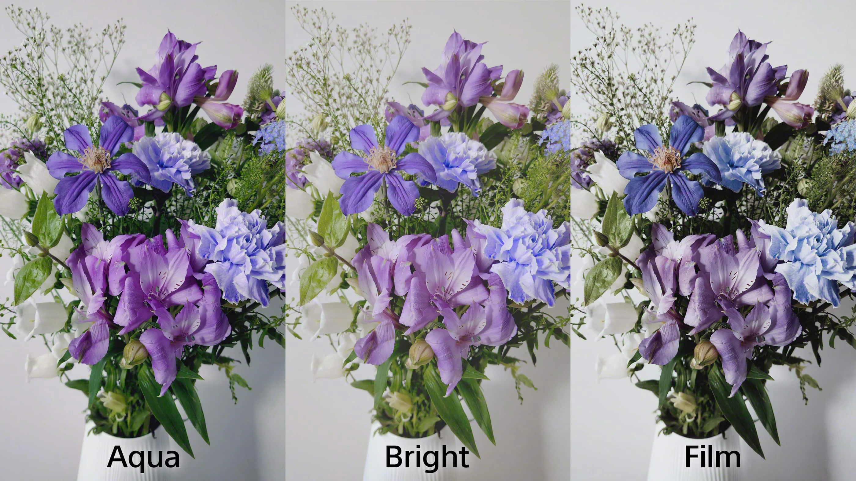 「ルック」機能 Aqua Bright Film の作例比較