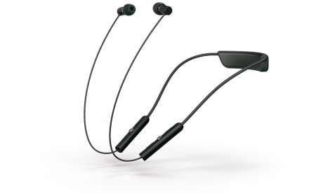 SBH80のイメージ