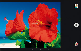 背景ぼかしの説明画像