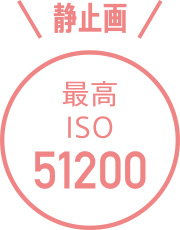 ISO51200