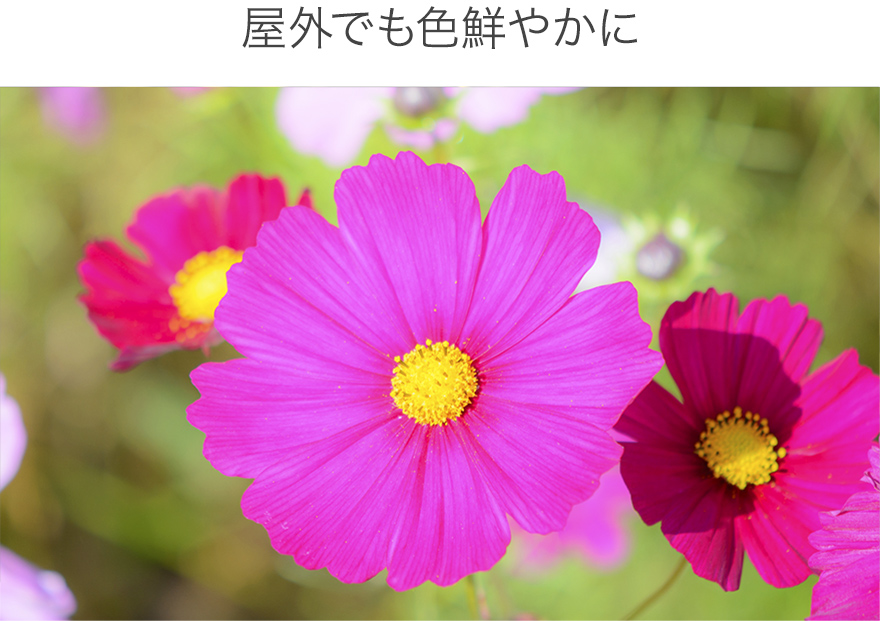 明るさの自動調節 ON