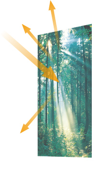 オプティコントラストパネルなしのイメージ