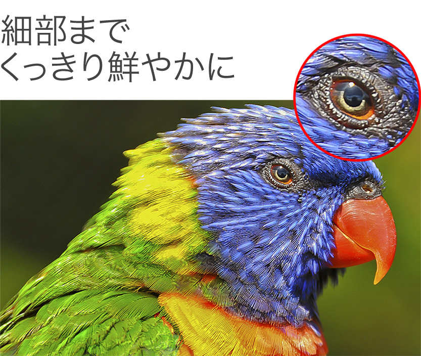 X-Reality&reg; for mobile ON