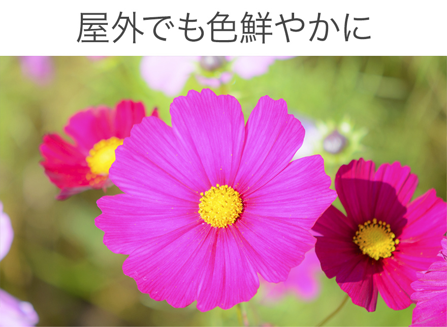 明るさの自動調節 ON