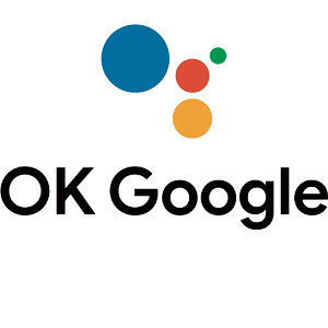 OK Google ロゴ