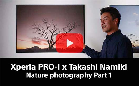 Xperia PRO-I × Takashi Namiki Nature photography Part 1