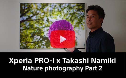 Xperia PRO-I × Takashi Namiki Nature photography Part 2