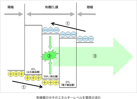 図説:有機層の分子のエネルギーレベルを電荷の流れ