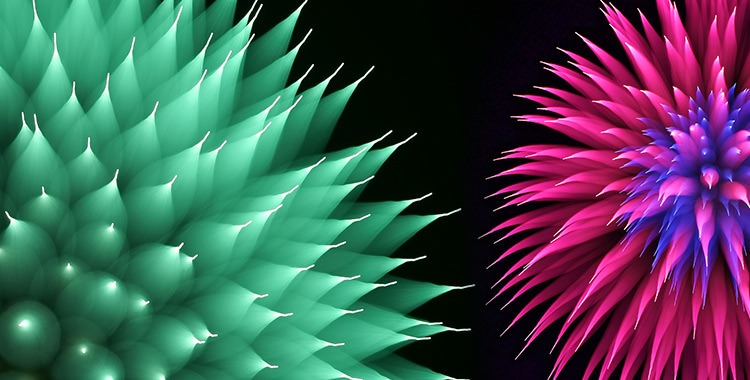 ヒトの目では見られない美しさを残す。“福田式”で撮る花火。